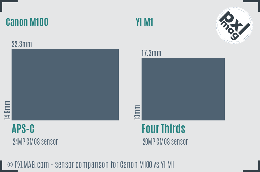 Canon M100 vs YI M1 sensor size comparison