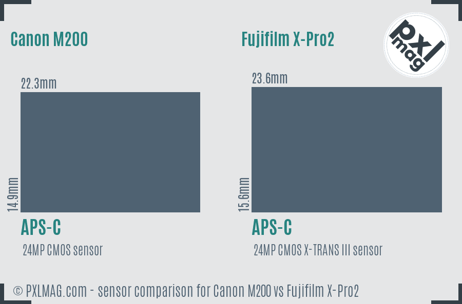 Canon M200 vs Fujifilm X-Pro2 sensor size comparison