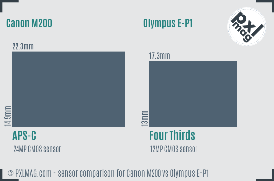 Canon M200 vs Olympus E-P1 sensor size comparison