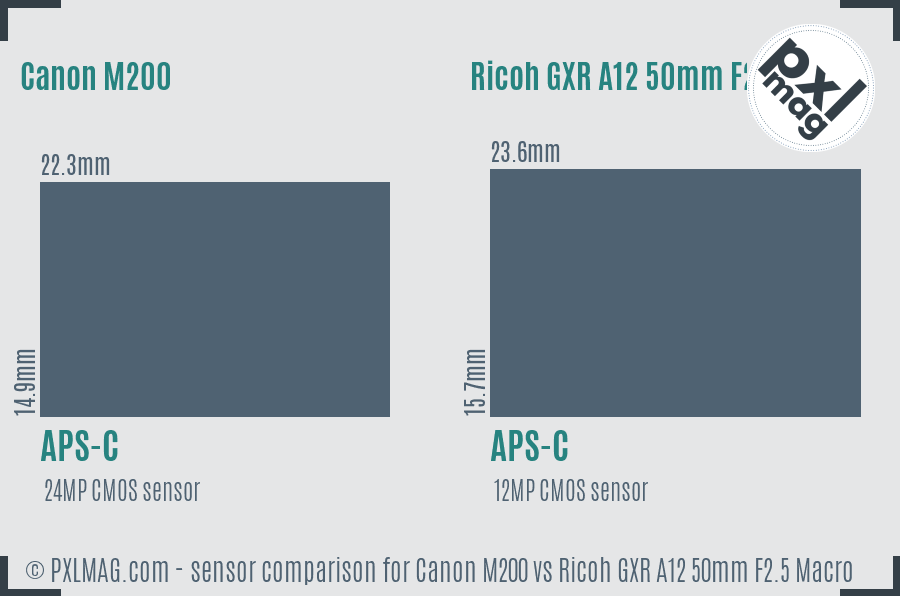 Canon M200 vs Ricoh GXR A12 50mm F2.5 Macro sensor size comparison