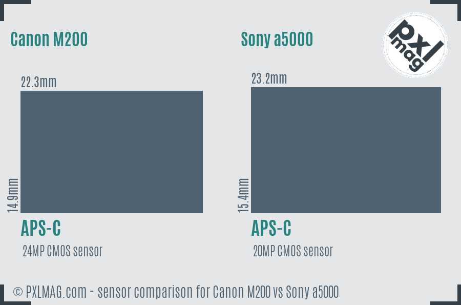 Canon M200 vs Sony a5000 sensor size comparison
