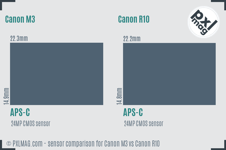 Canon M3 vs Canon R10 sensor size comparison