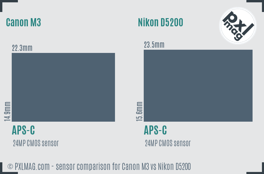 Canon M3 vs Nikon D5200 sensor size comparison