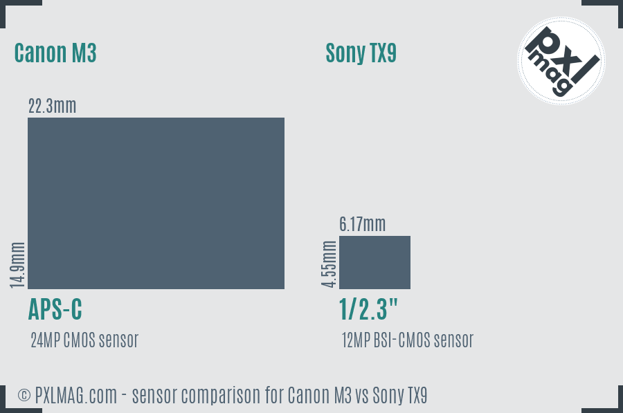 Canon M3 vs Sony TX9 sensor size comparison