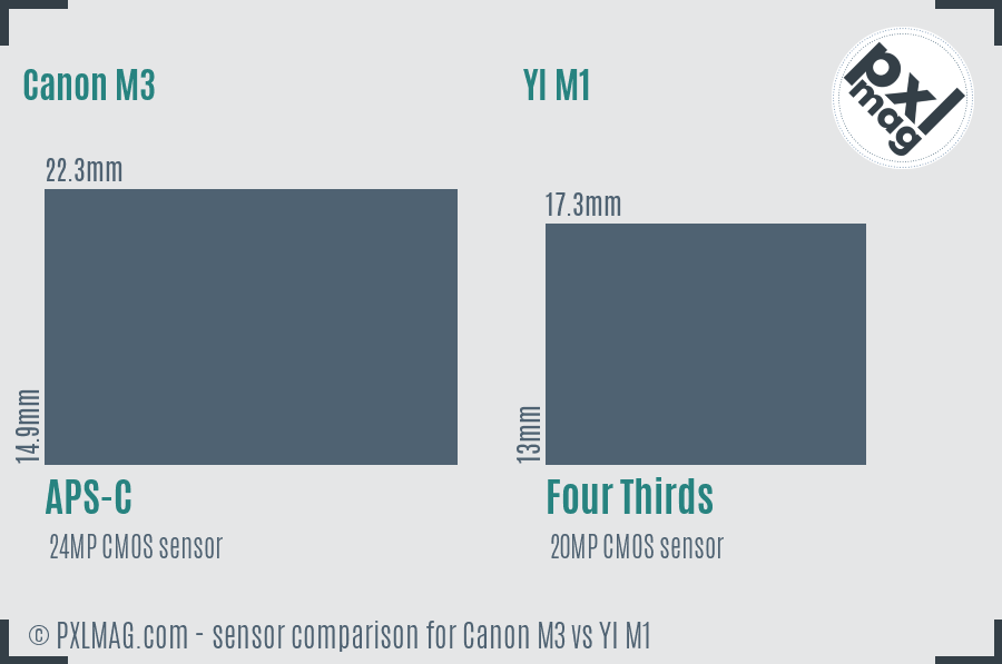 Canon M3 vs YI M1 sensor size comparison