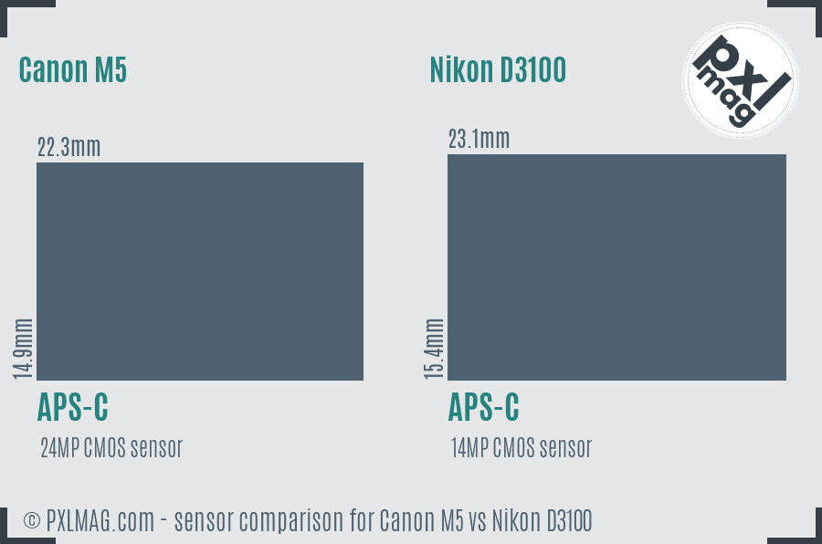 Canon M5 vs Nikon D3100 sensor size comparison