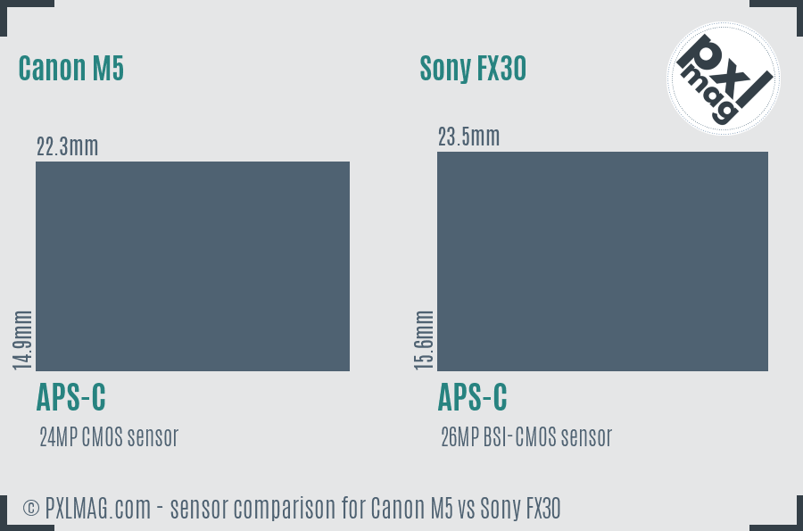 Canon M5 vs Sony FX30 sensor size comparison