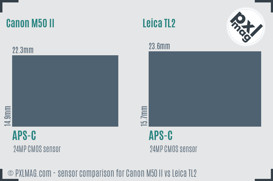 Canon M50 II vs Leica TL2 sensor size comparison