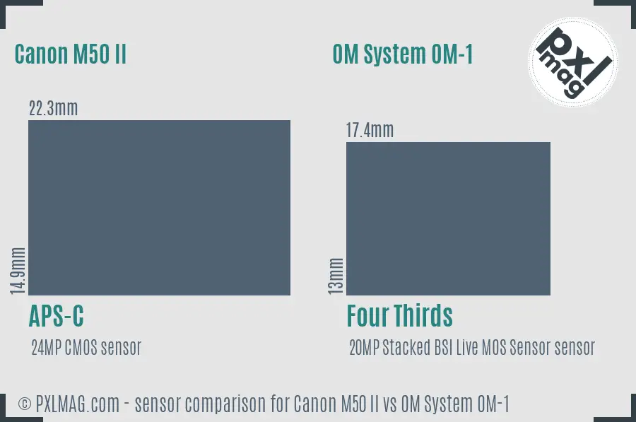 Canon M50 II vs OM System OM-1 sensor size comparison