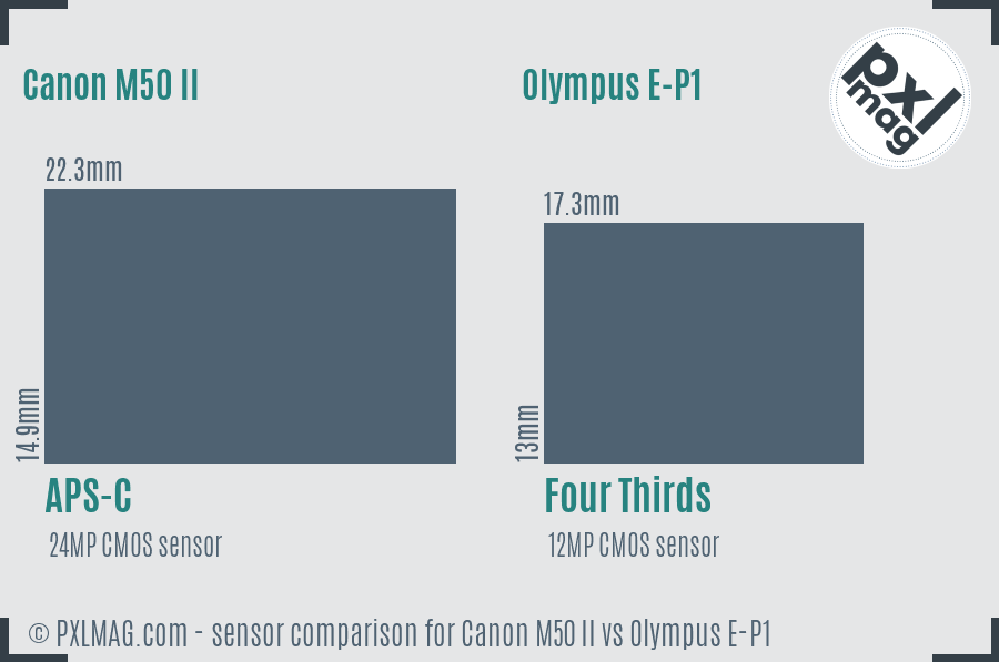 Canon M50 II vs Olympus E-P1 sensor size comparison