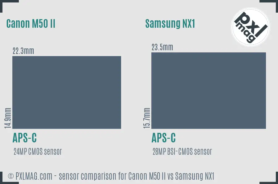 Canon M50 II vs Samsung NX1 sensor size comparison