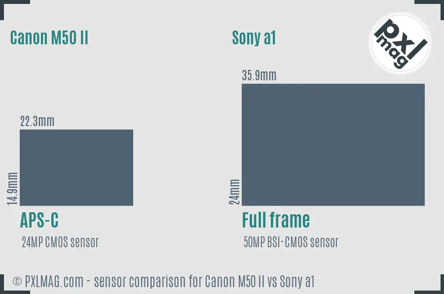 Canon M50 II vs Sony a1 sensor size comparison