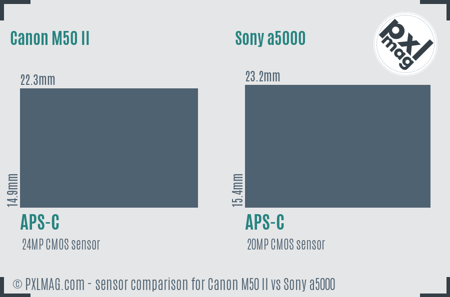 Canon M50 II vs Sony a5000 sensor size comparison