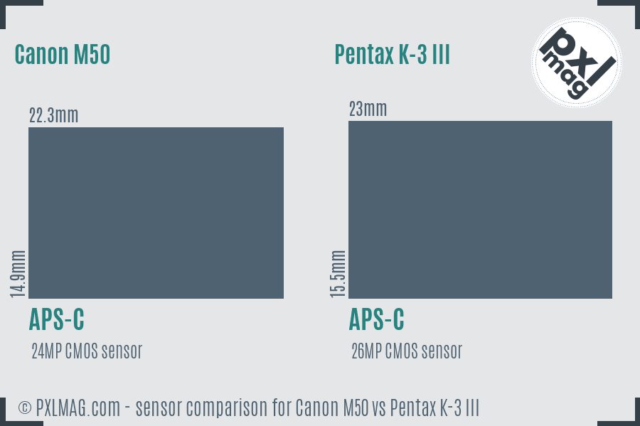 Canon M50 vs Pentax K-3 III sensor size comparison