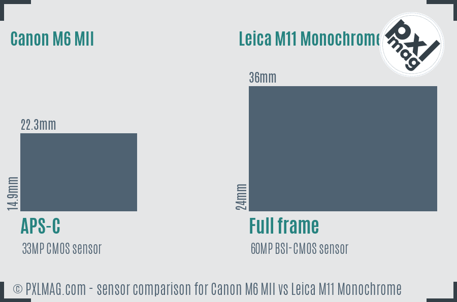 Canon M6 MII vs Leica M11 Monochrome sensor size comparison Canon M6 MII vs Leica M11 Monochrome sensor size comparison