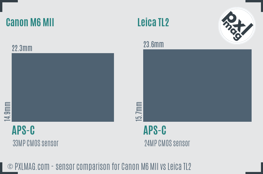 Canon M6 MII vs Leica TL2 sensor size comparison