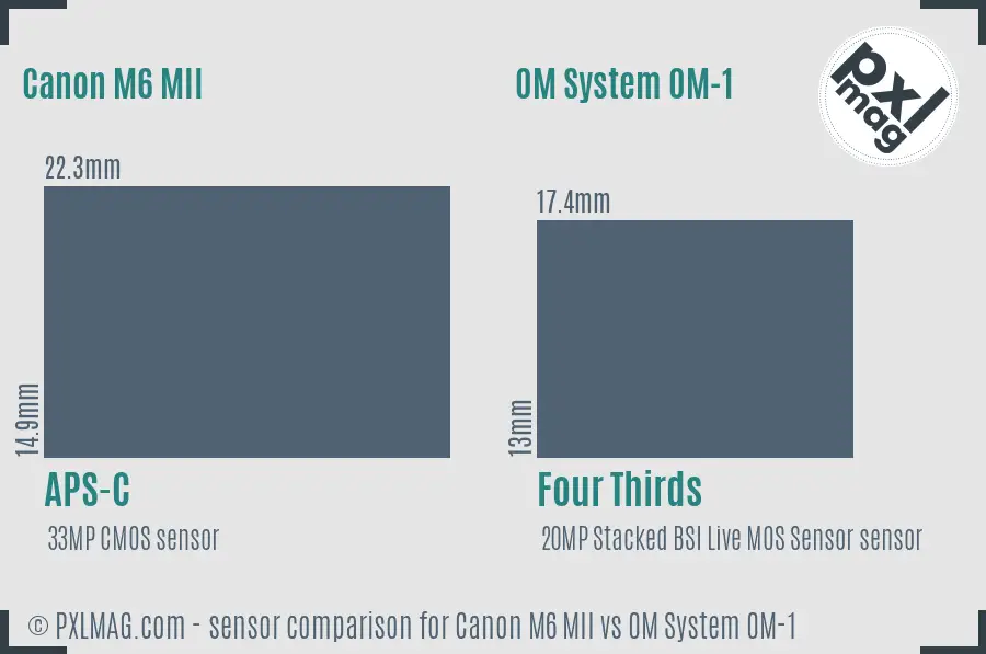 Canon M6 MII vs OM System OM-1 sensor size comparison Canon M6 MII vs OM System OM-1 sensor size comparison