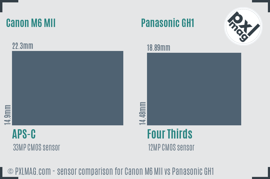 Canon M6 MII vs Panasonic GH1 sensor size comparison