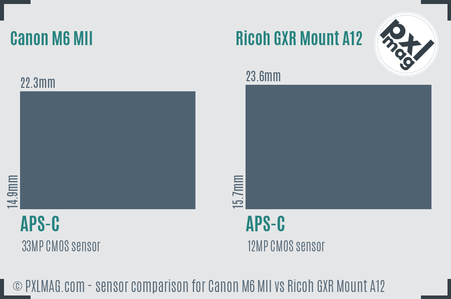 Canon M6 MII vs Ricoh GXR Mount A12 sensor size comparison