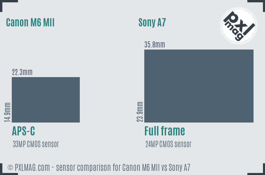Canon M6 MII vs Sony A7 sensor size comparison