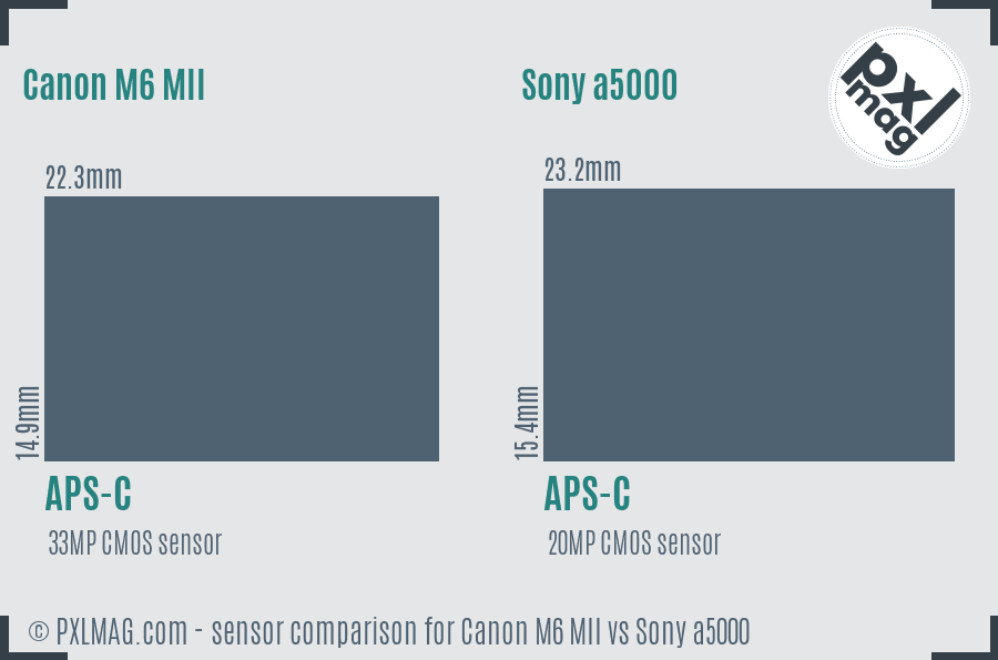 Canon M6 MII vs Sony a5000 sensor size comparison