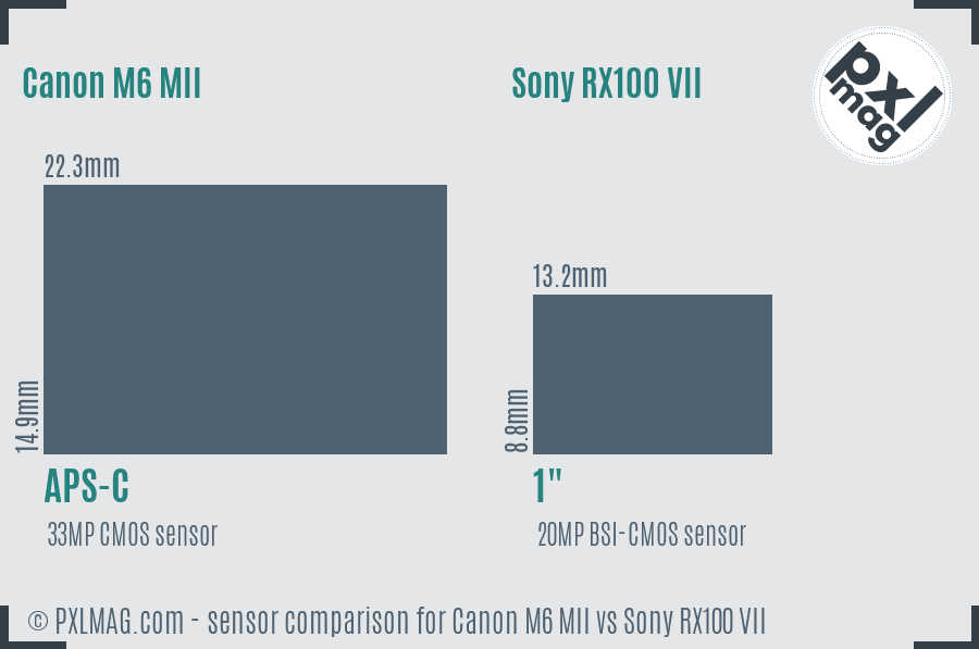 Canon M6 MII vs Sony RX100 VII sensor size comparison Canon M6 MII vs Sony RX100 VII sensor size comparison