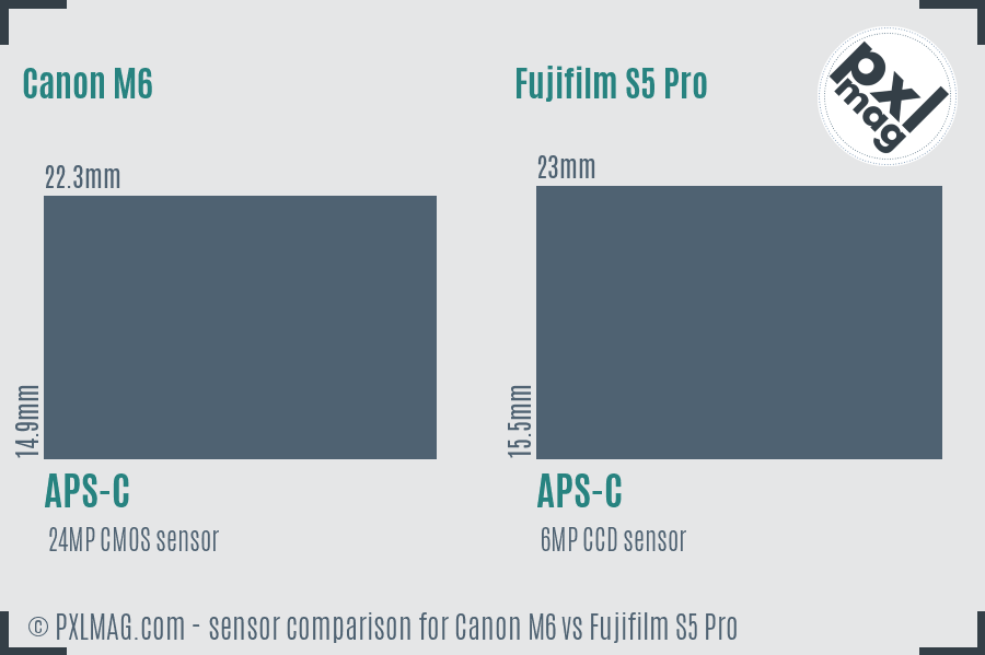 Canon M6 vs Fujifilm S5 Pro sensor size comparison Canon M6 vs Fujifilm S5 Pro sensor size comparison
