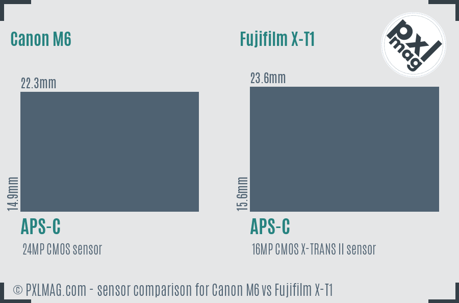 Canon M6 vs Fujifilm X-T1 sensor size comparison