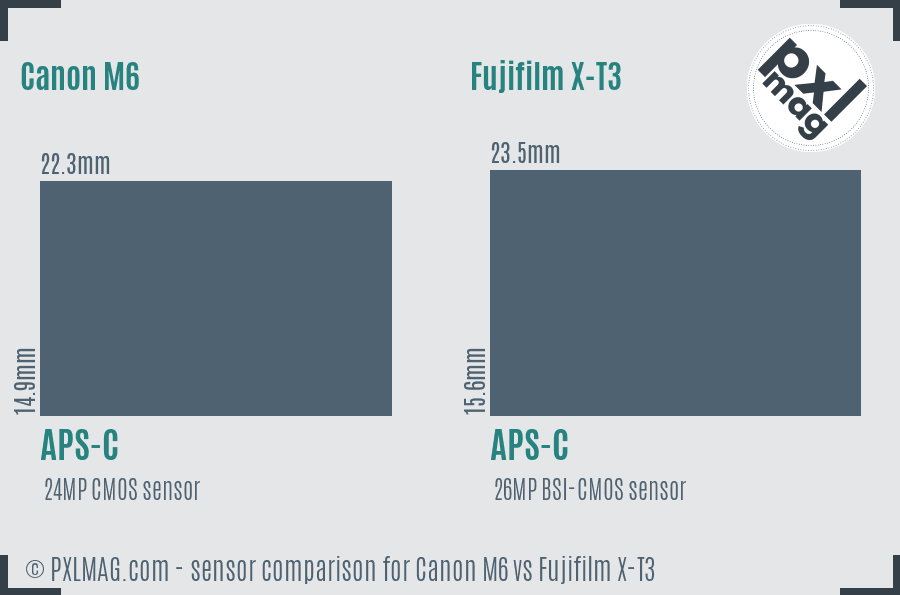 Canon M6 vs Fujifilm X-T3 sensor size comparison