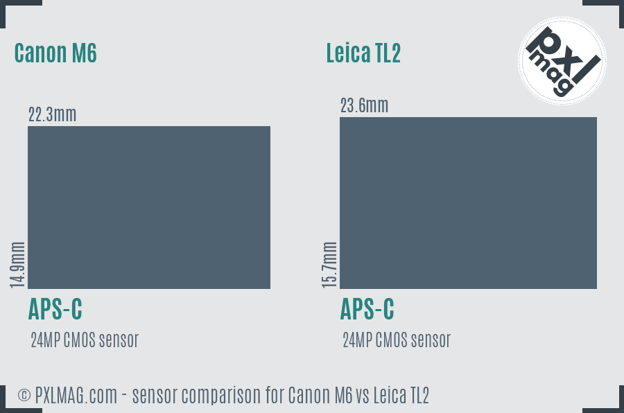 Canon M6 vs Leica TL2 sensor size comparison Canon M6 vs Leica TL2 sensor size comparison