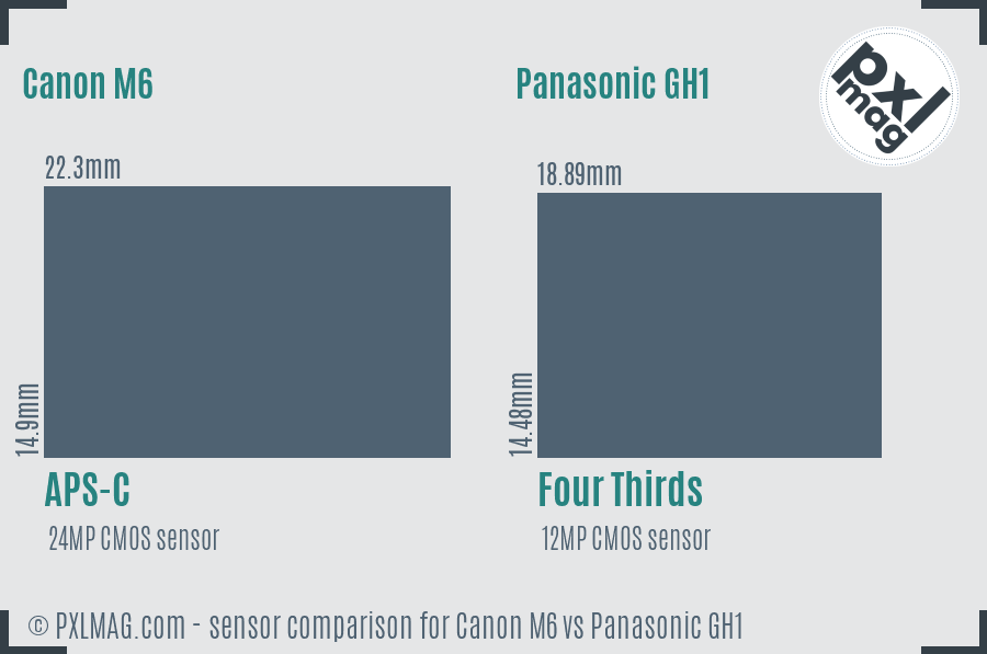 Canon M6 vs Panasonic GH1 sensor size comparison