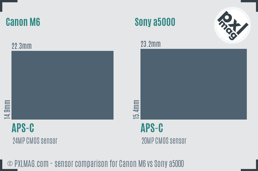 Canon M6 vs Sony a5000 sensor size comparison