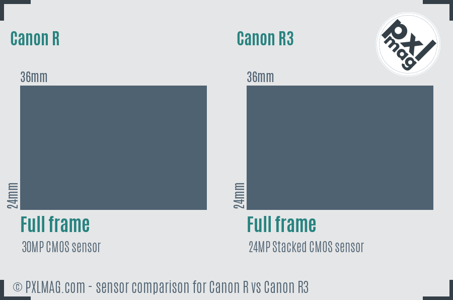 Canon R vs Canon R3 sensor size comparison