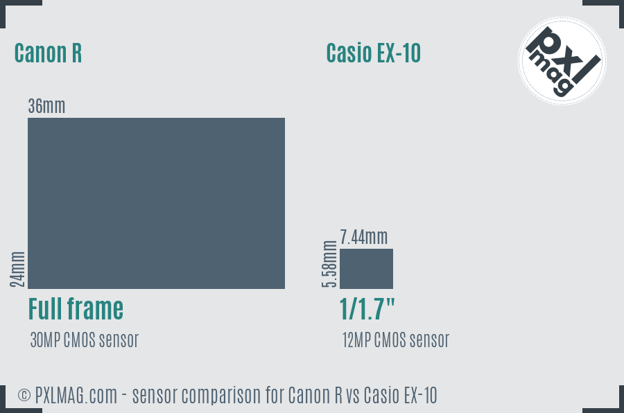 Canon R vs Casio EX-10 sensor size comparison Canon R vs Casio EX-10 sensor size comparison