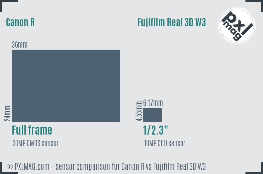 Canon R vs Fujifilm Real 3D W3 sensor size comparison