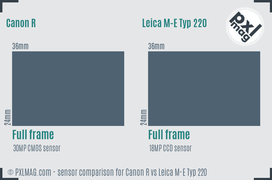 Canon R vs Leica M-E Typ 220 sensor size comparison