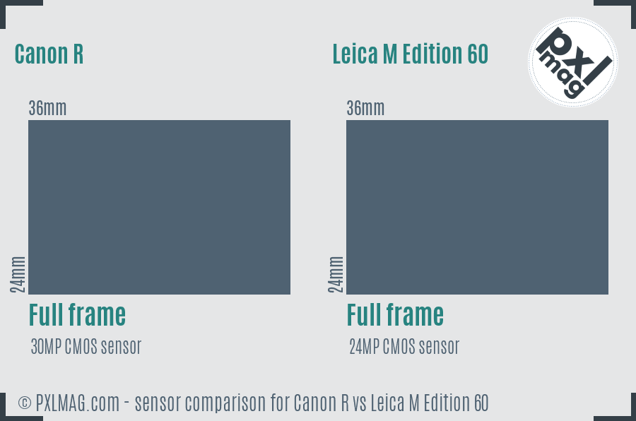 Canon R vs Leica M Edition 60 sensor size comparison