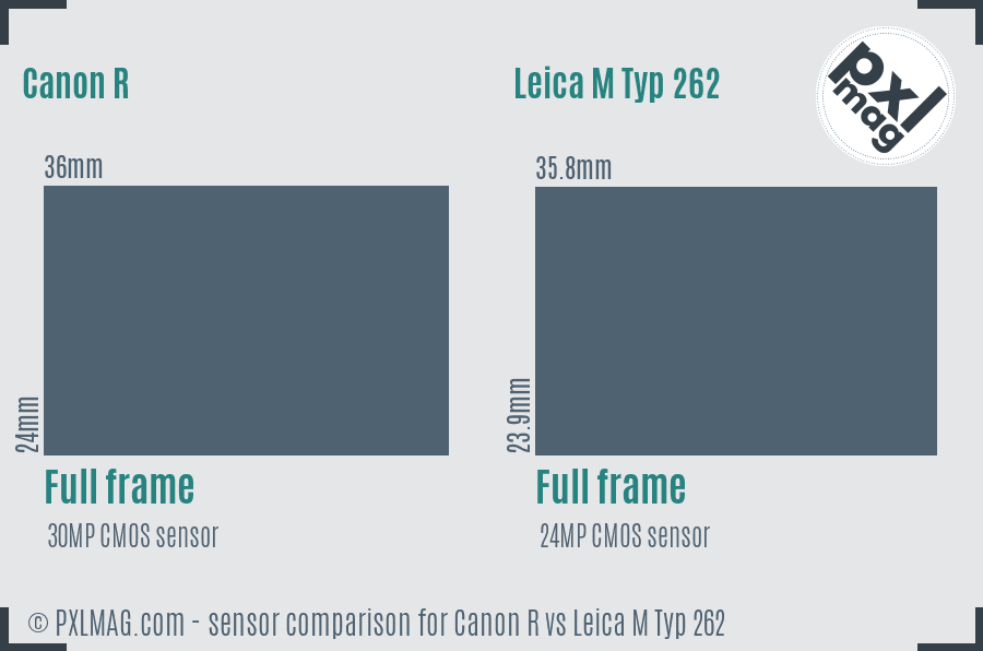 Canon R vs Leica M Typ 262 sensor size comparison