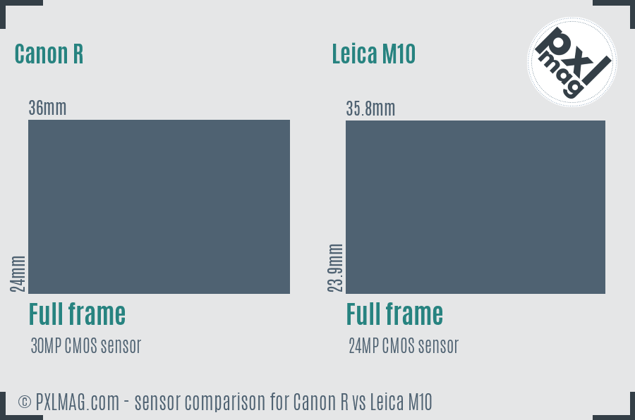 Canon R vs Leica M10 sensor size comparison