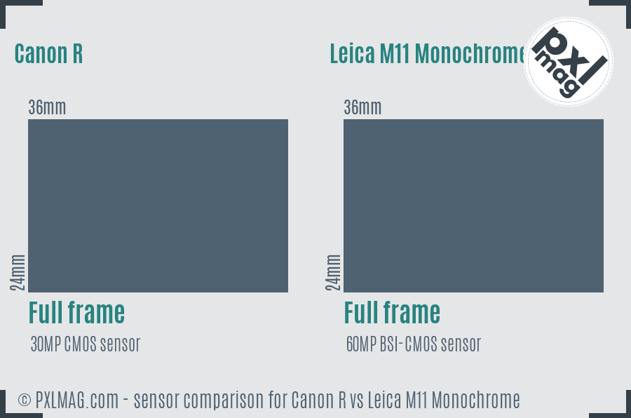 Canon R vs Leica M11 Monochrome sensor size comparison Canon R vs Leica M11 Monochrome sensor size comparison