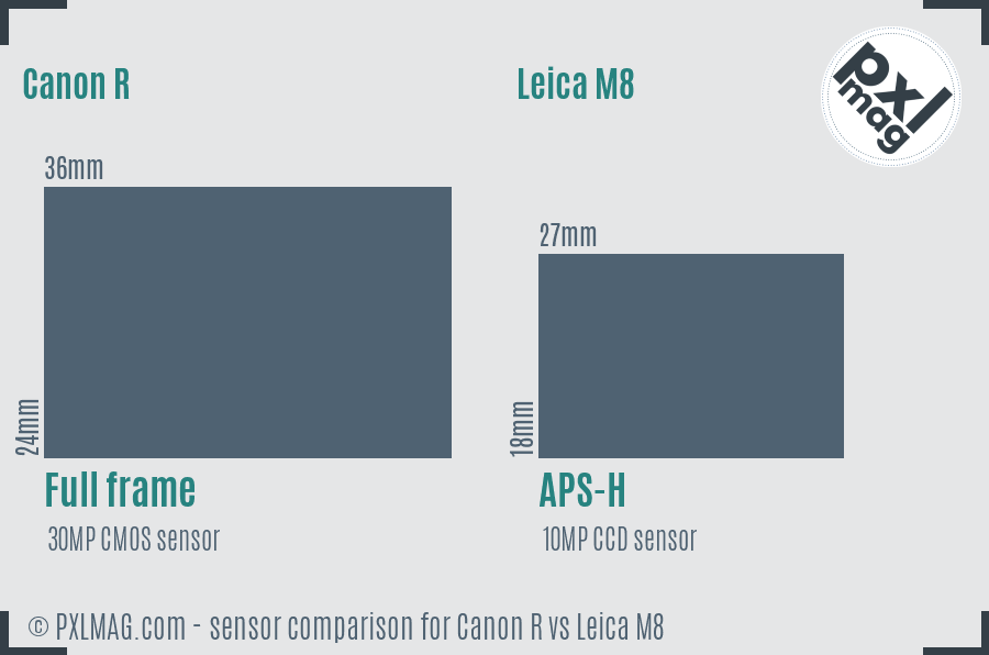 Canon R vs Leica M8 sensor size comparison