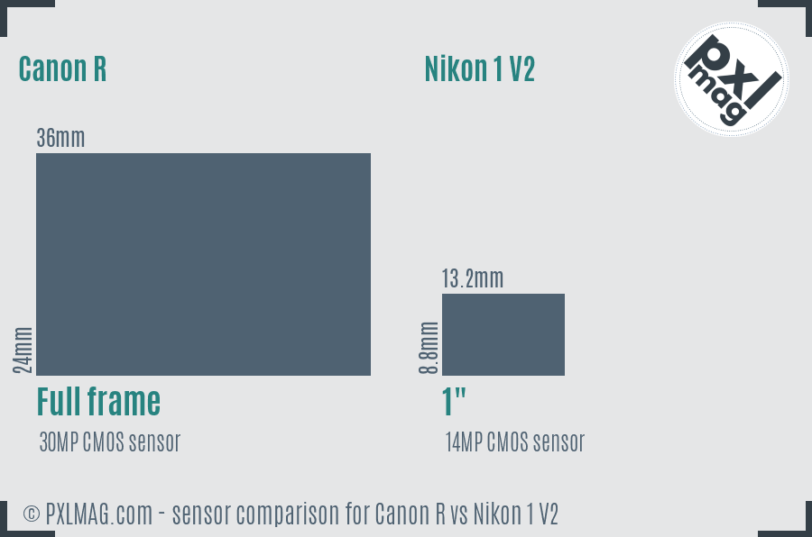 Canon R vs Nikon 1 V2 sensor size comparison