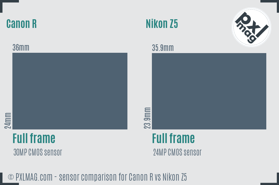 Canon R vs Nikon Z5 sensor size comparison