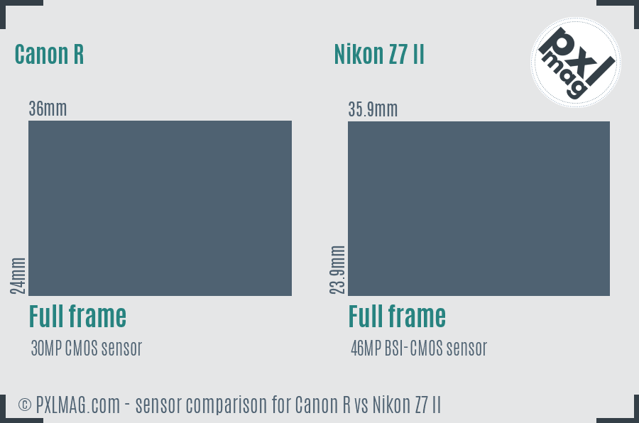 Canon R vs Nikon Z7 II sensor size comparison