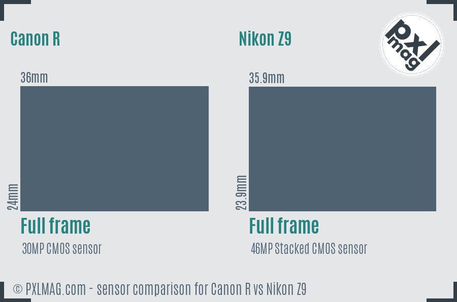 Canon R vs Nikon Z9 sensor size comparison