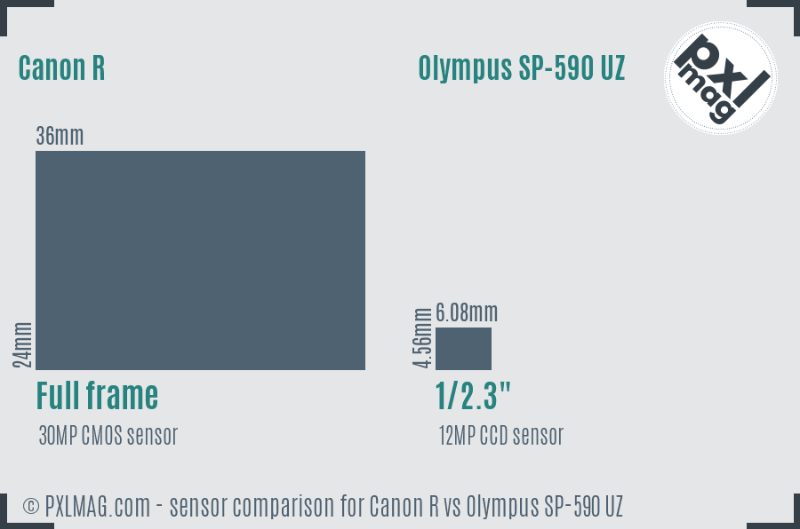 Canon R vs Olympus SP-590 UZ sensor size comparison