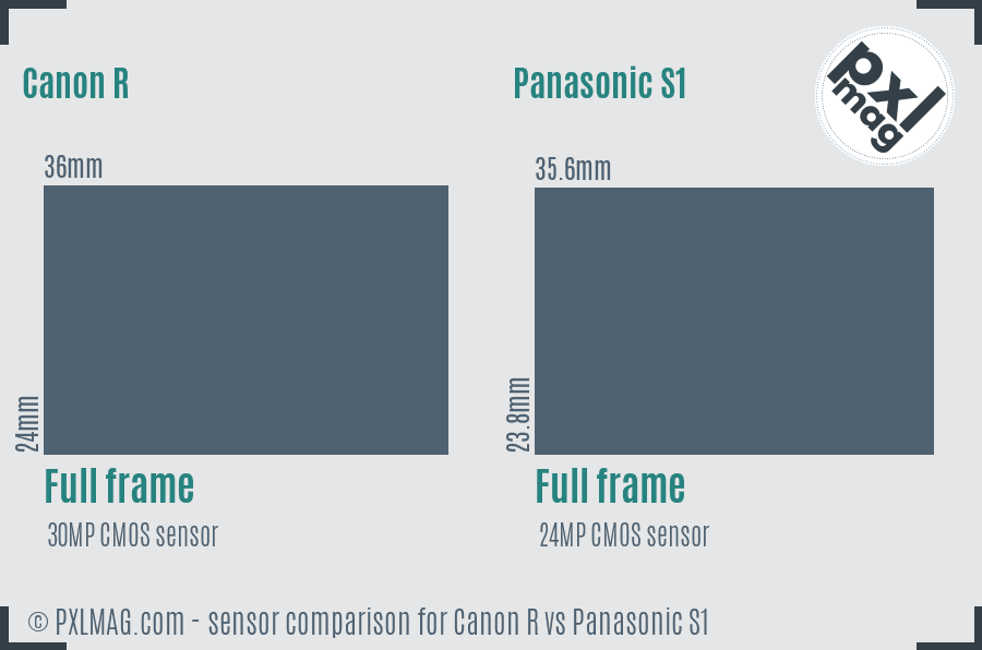 Canon R vs Panasonic S1 sensor size comparison