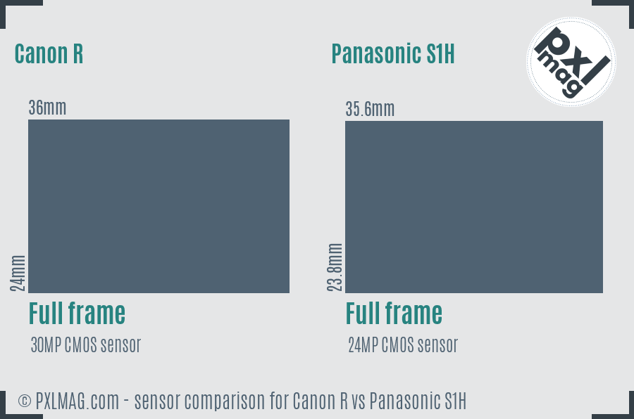 Canon R vs Panasonic S1H sensor size comparison