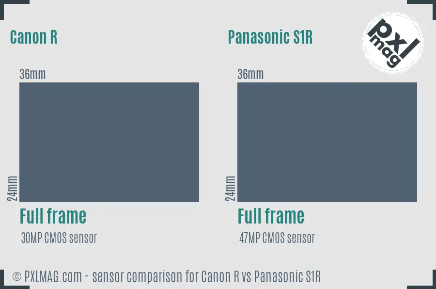 Canon R vs Panasonic S1R sensor size comparison