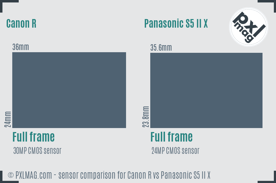Canon R vs Panasonic S5 II X sensor size comparison